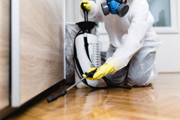 Best Flea Control Services  in Fayetteville, TN