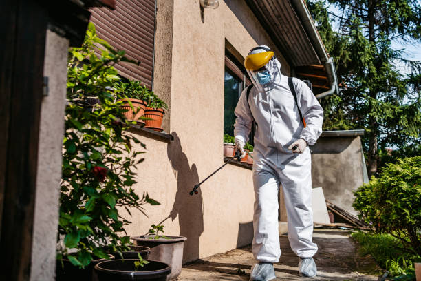 Best Rat Extermination Near Me  in Fayetteville, TN