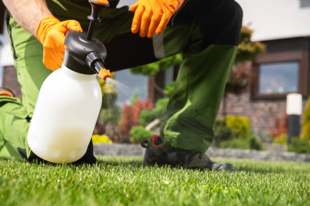 Flea Control Services in Fayetteville, TN