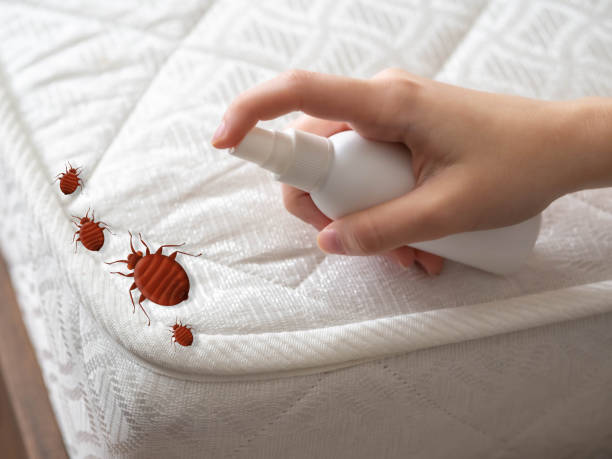 Fayetteville, TN Pest Control Company