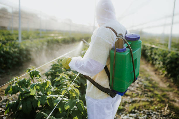 Best Affordable Exterminators  in Fayetteville, TN